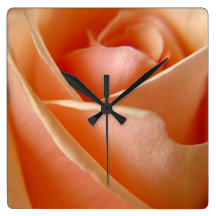 Peachy Rose