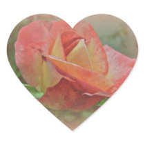 Peachy Rose Blossom