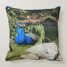 Peacock American MoJo Pillow