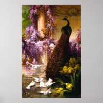 Peacock and Doves in a Garden Posters