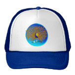 Peacock and Roses  Oval Hats