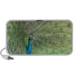 Peacock Animal Speaker