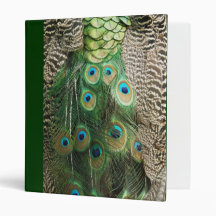 Peacock Beauty Binder