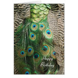 Peacock Beauty - Birthday Greeting Card