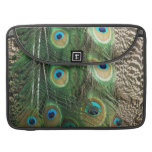 Peacock beauty - macbook sleeves