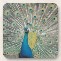Peacock Beverage Coasters
