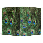 Peacock Binder