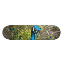 Peacock bird with beautiful feathers skateboards