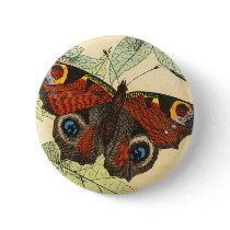 Peacock Butterfly Pin