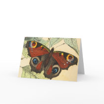 Peacock Butterfly Card
