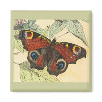 Peacock Butterfly Magnet