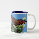 Peacock Butterfly mug mugs