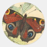 Peacock Butterfly Round Sticker