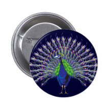 Peacock Buttons