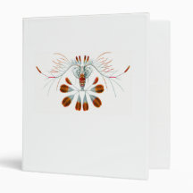 Peacock Calanid Binder