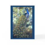 Peacock Card