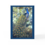 Peacock Card