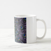 Peacock Close Up Mug
