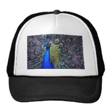 Peacock Close Up Trucker Hat
