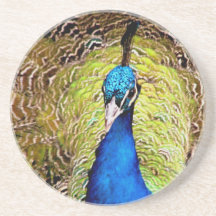 Peacock coaster
