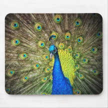 Peacock Colour Beauty Mousepads