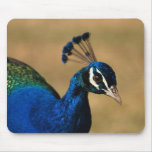 Peacock customizable mousemats & mousepad