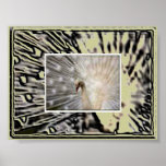 Peacock Double Take Poster