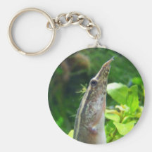 Peacock Eel "Elvis" Keychains