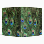 Peacock Feather 3 Ring Binders