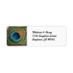 Peacock Feather Address Labels