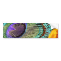 Peacock feather against flower