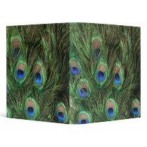 Peacock Feather 3 Ring Binders