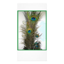 Peacock feather-Card Customized Photo Card