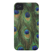 Peacock Feather Case Cover