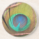 Peacock Feather Coaster