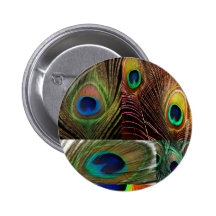 peacock feather collage pins