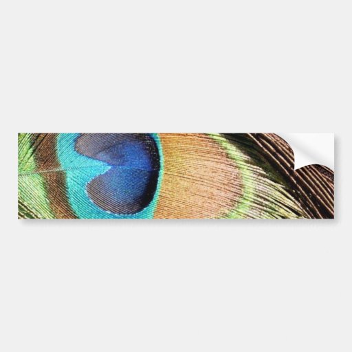 Peacock Feather Designs Bumper Sticker