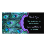 Peacock Feather Drama - Thank You Card Photo Greeting Card