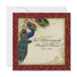 Peacock & Feather Formal Wedding Invite Burgundy