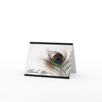 Peacock Feather Glamour Thank You