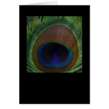 Peacock Feather Greeting Card