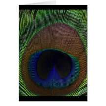 Peacock Feather Greeting Cards