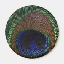 Peacock Feather Magnets