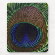 Peacock Feather Mouse Pads
