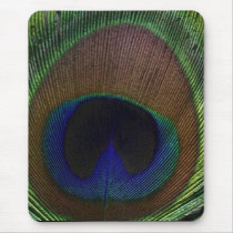 Peacock Feather Mouse Pads