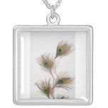 peacock feather necklace