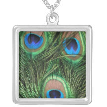 Peacock Feather Pendant
