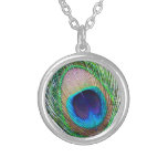 Peacock Feather Necklace necklaces