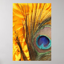 Peacock feather on sunflower print