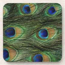 Peacock Feather Print Beverage Coaster